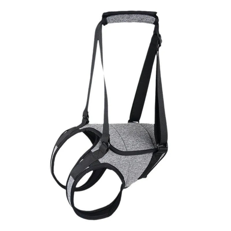 Grey neoprene dog recovery belt for rear leg injury support with sizing chart