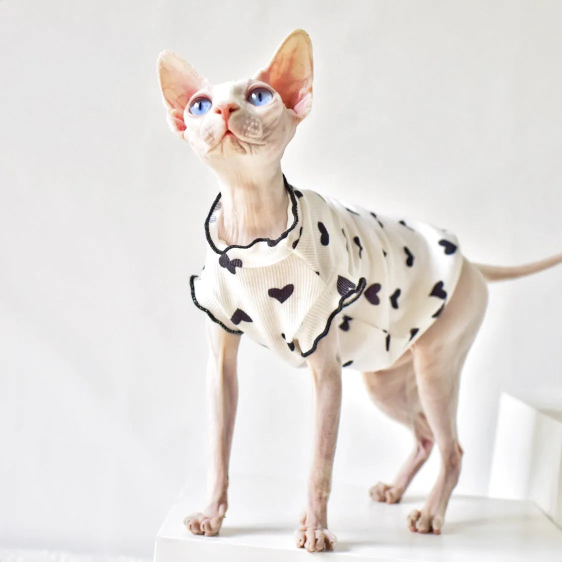 Sleeveless rubber cat vest for summer warmth, available in multiple colours and sizes XS to XXL