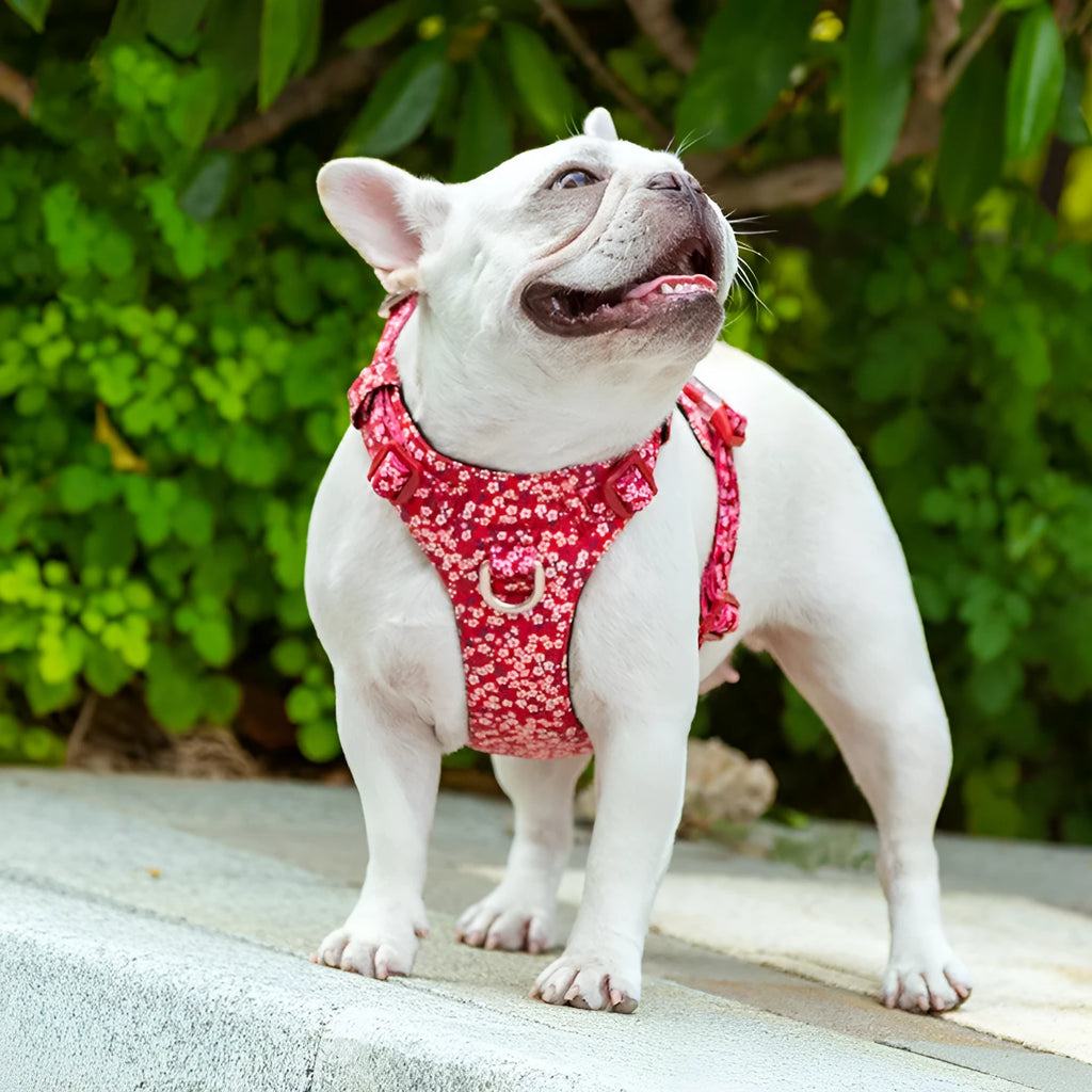 Pure cotton pet harness chest strap in floral pattern with pull-resistant design for dog walking