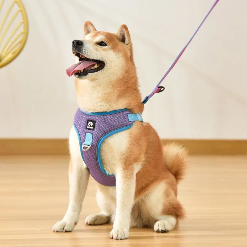Adjustable soft mesh dog harness with reflective strips in black, shown on a small dog