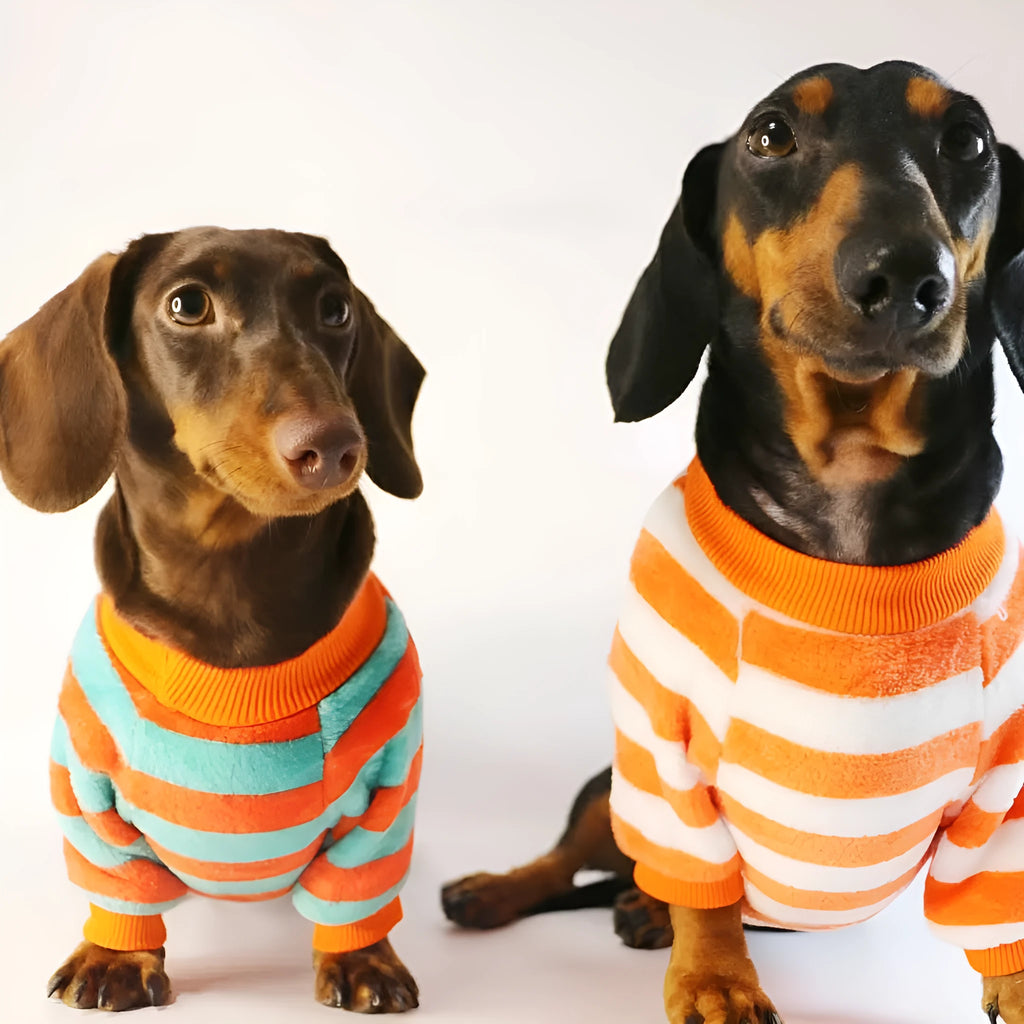 Striped round neck pet sweatshirt for dogs and cats in casual style