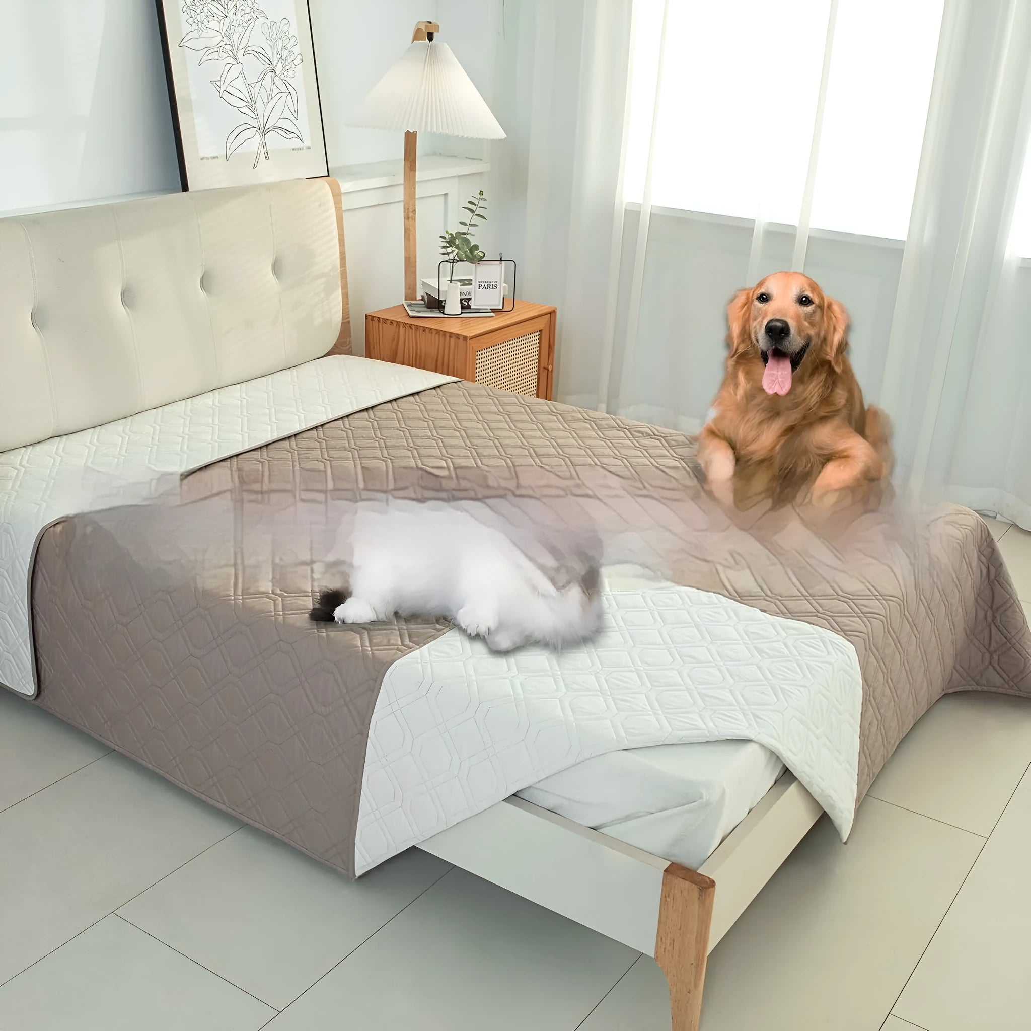 Double-sided waterproof dog sofa cushion in dark grey and light grey reversible colours