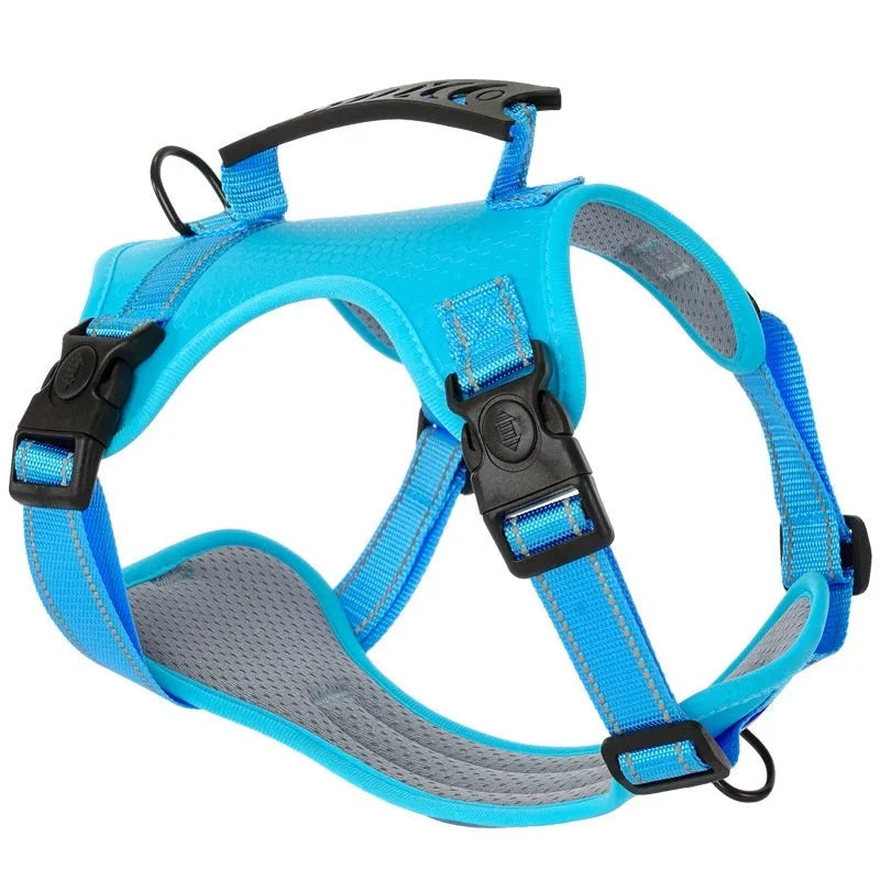 Polyester dog chest harness and leash in multiple colours including red, blue, and yellow on size options from XS to XL.