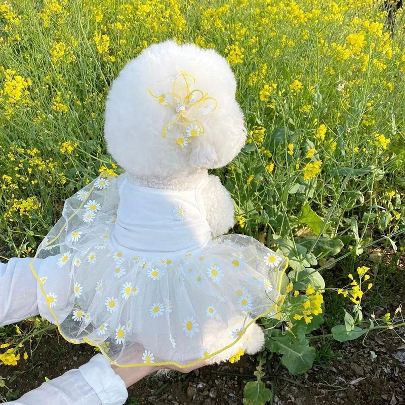 Yellow daisy print summer dog clothes for small to large breeds on pet mannequin