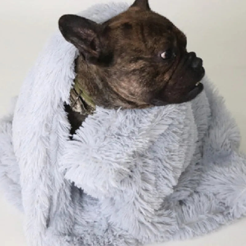 Soft plush dog blanket in multiple colours and sizes for medium and large dogs