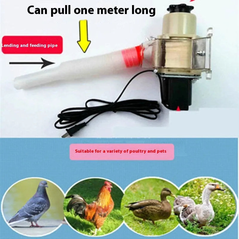 Solar-powered automatic chicken feeding device with timer and watertight caisson housing