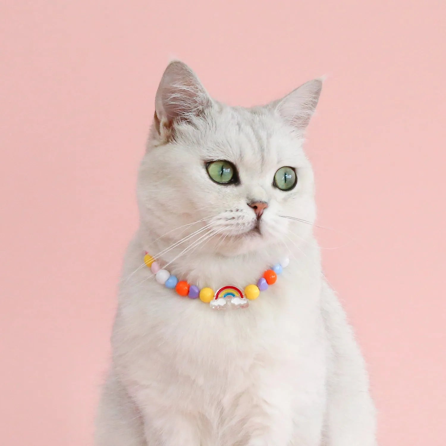 Colourful plastic pearl necklace for small pets on a white background, showing peach, rainbow, and small flower bead design options.