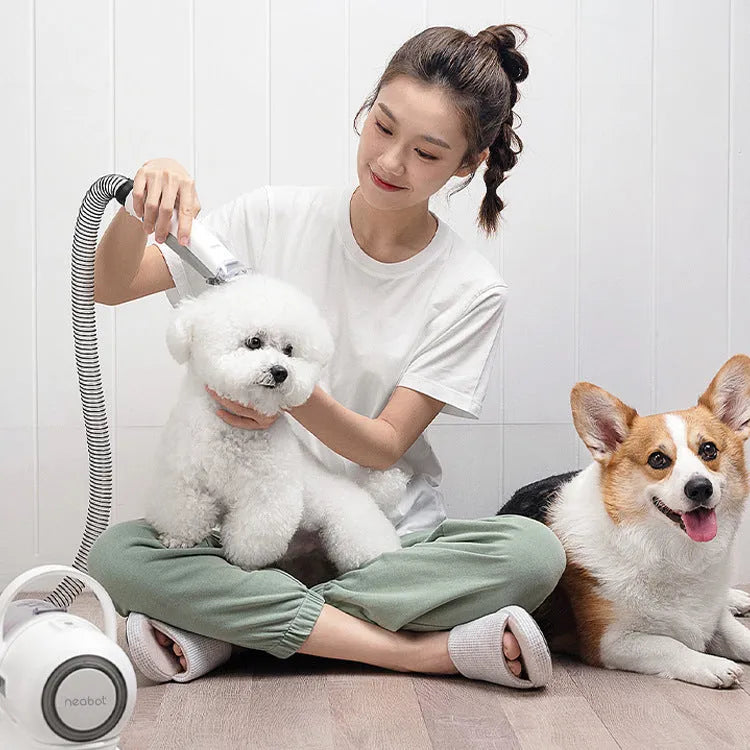 Pet grooming device comb shaving in one P1 with ABS body, 290 x 132 x 210mm size and accessory set