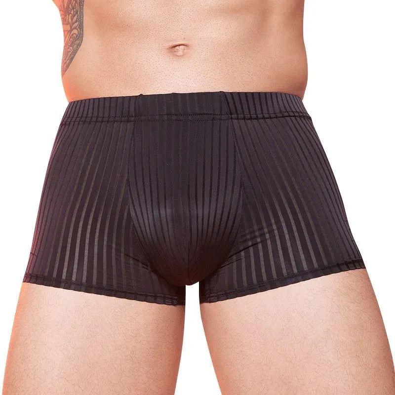 Men's striped nylon underwear with thin transparent fabric and elastic waistband in black, dark grey and white colours
