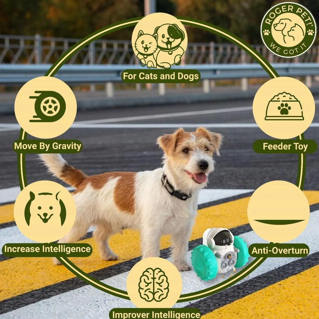 Small dog treat dispenser toy with roller design in multiple colour options for interactive pet play