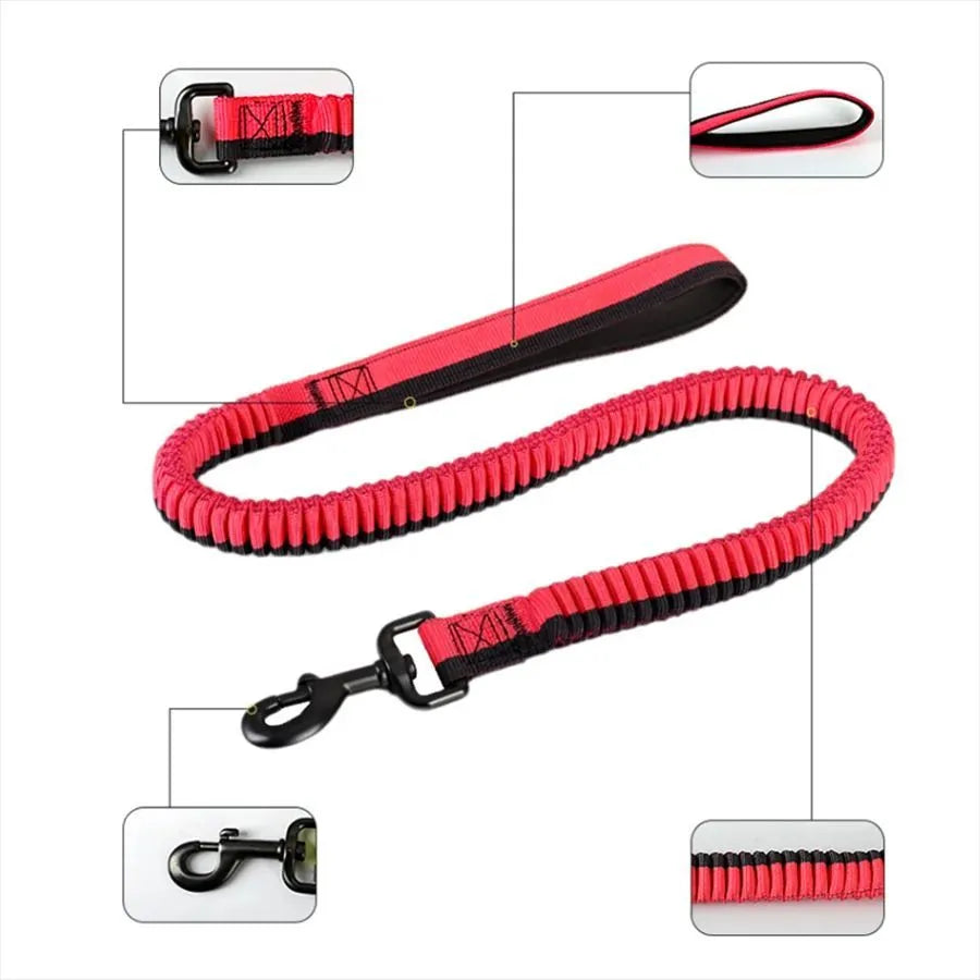 Green elastic shock-resistant dog training leash with 360-degree rotating metal clip