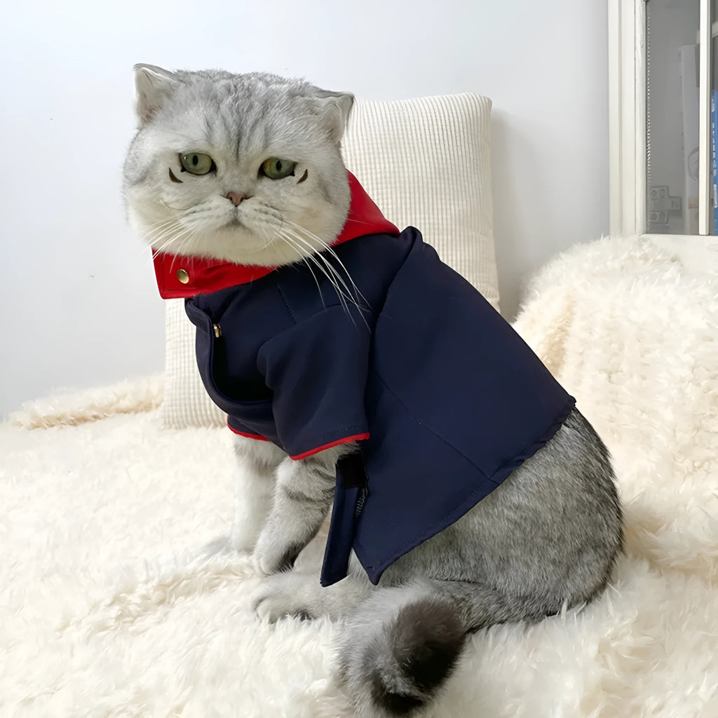 Tiger Staff Yuren coloured pet hoodie for dogs or cats, shown as a small or medium sized photo prop.