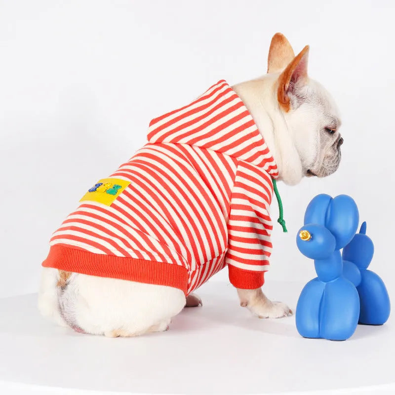 Orange cotton hooded dog sweater on a mannequin, showing Japanese style design.