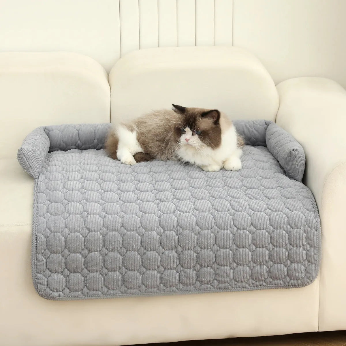 Corduroy pet dog cat bed blanket mat with neck pillow thick soft pad in beige color on a sofa