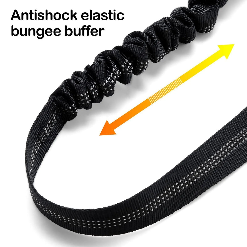 Nylon dog leash with metal buckle shown in multiple colour options including army green, black, blue, pink and red.
