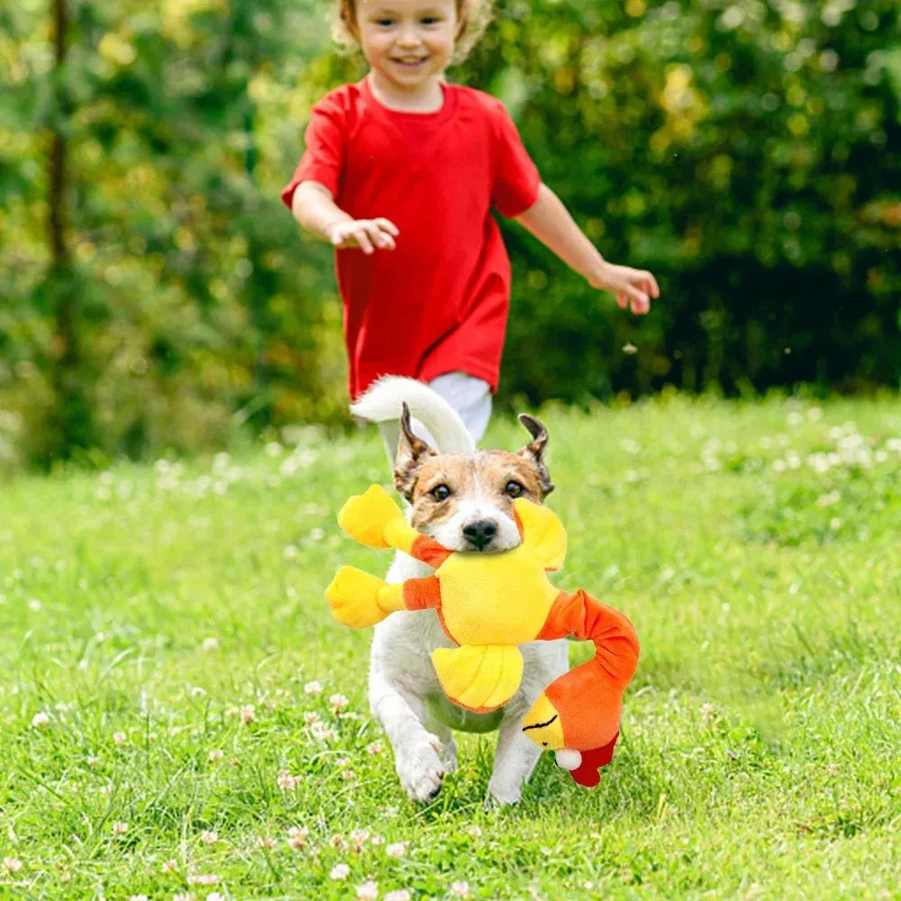 Screaming chicken sound dog chew toy in durable rubber, shown in black, green, and orange colours.