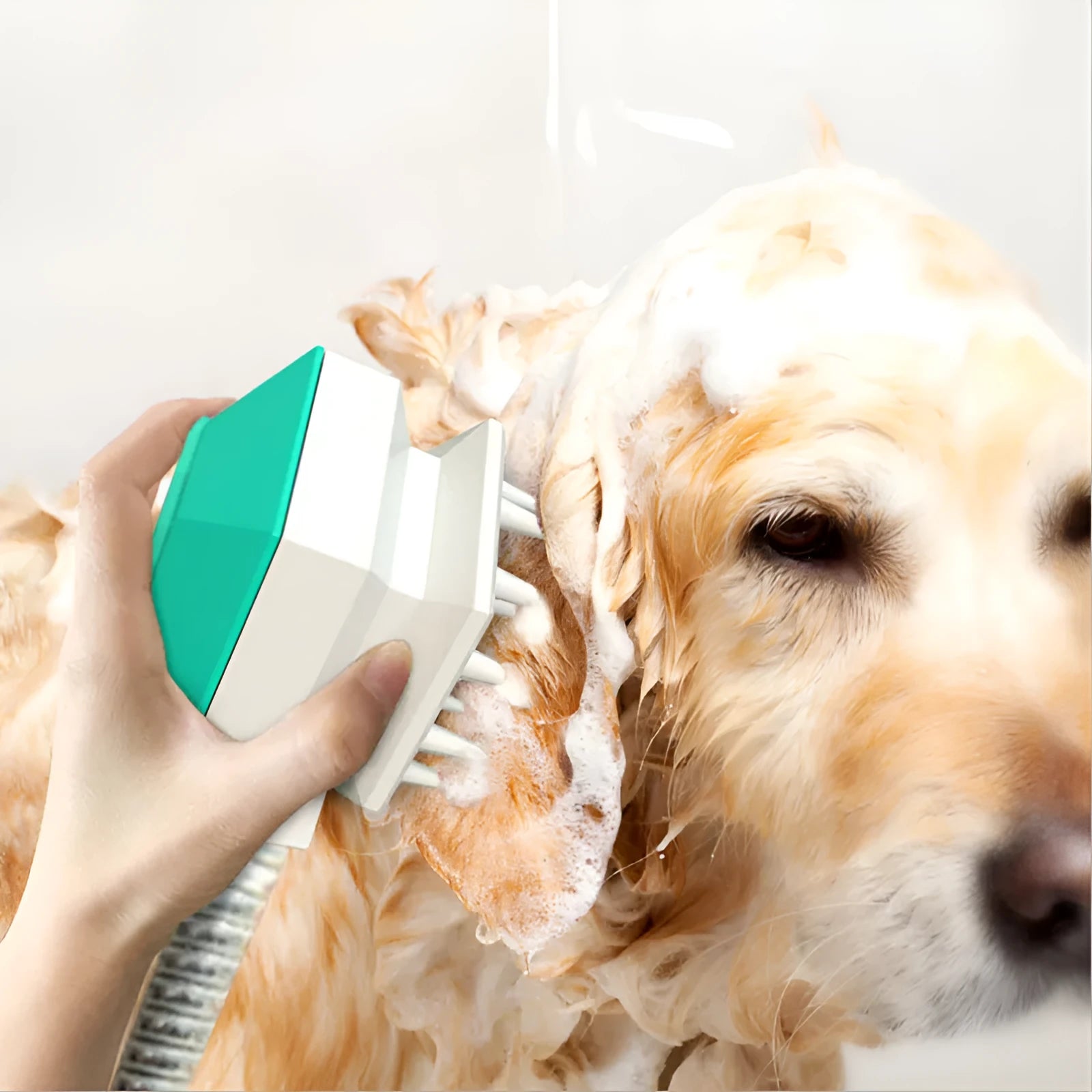 Pet shower brush nozzle with one-key switch in blue for dogs and cats