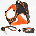 Yellow and orange polyester dog harness with traction strap for outdoor training