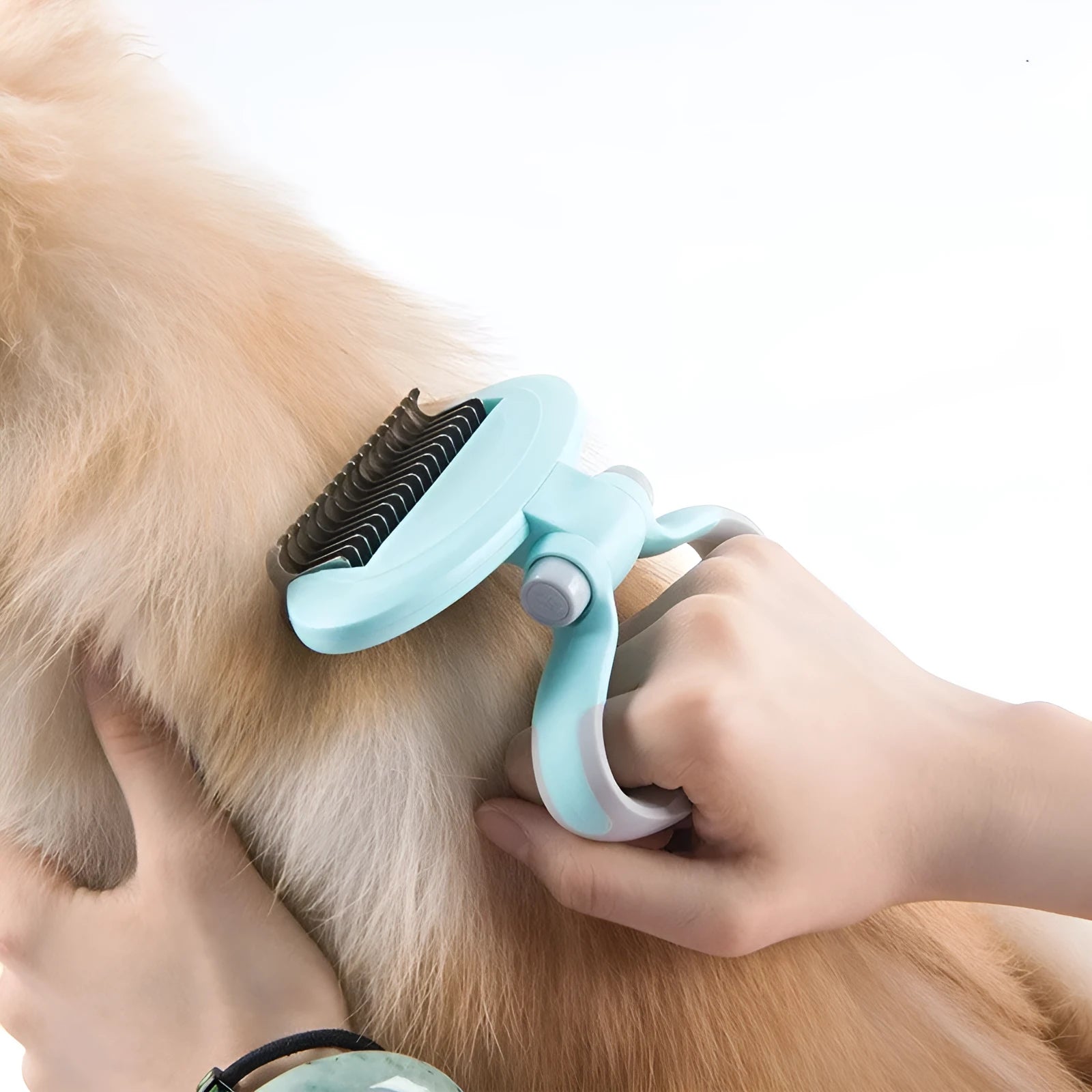 Dog comb with two-sided teeth and rotating handle in blue on white background