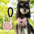 Polyester pet harness and hand holding rope set in blue, shown with a vest and separate lead.