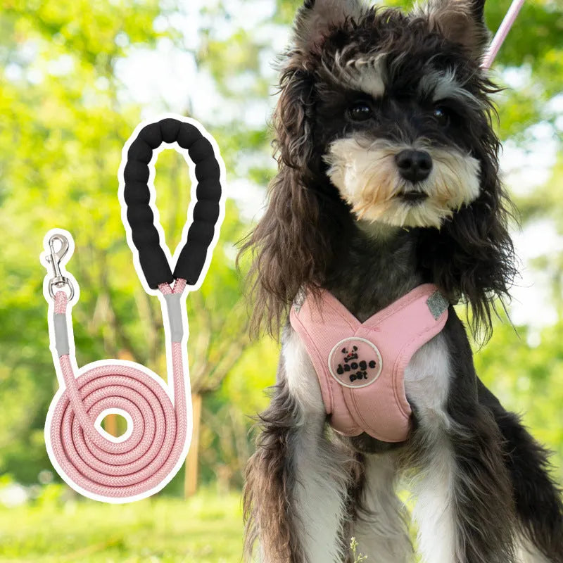 Polyester pet harness and hand holding rope set in blue, shown with a vest and separate lead.