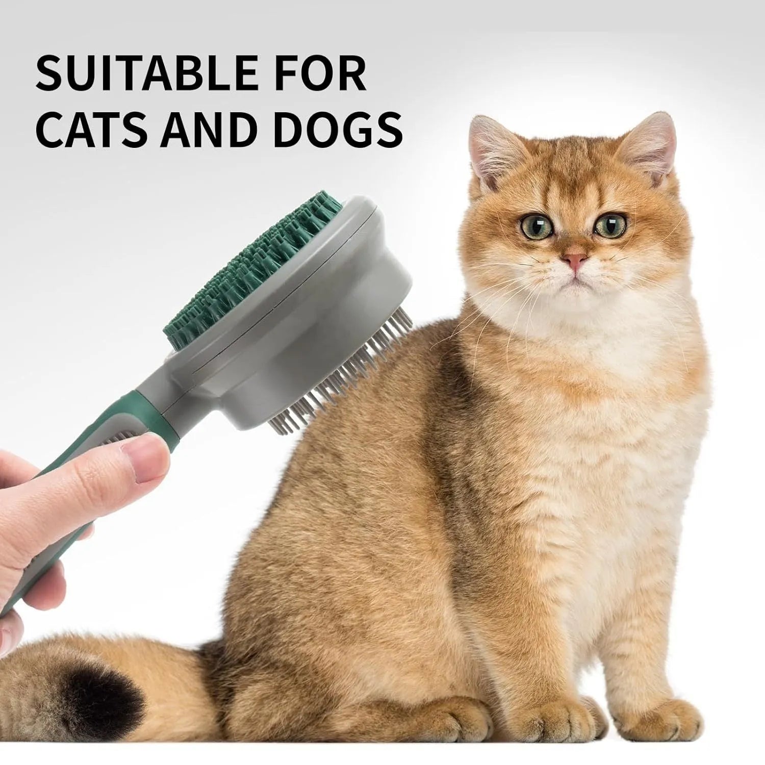 Green 2-in-1 silicone pet grooming brush showing slicker brush side and octopus-teethed massager side