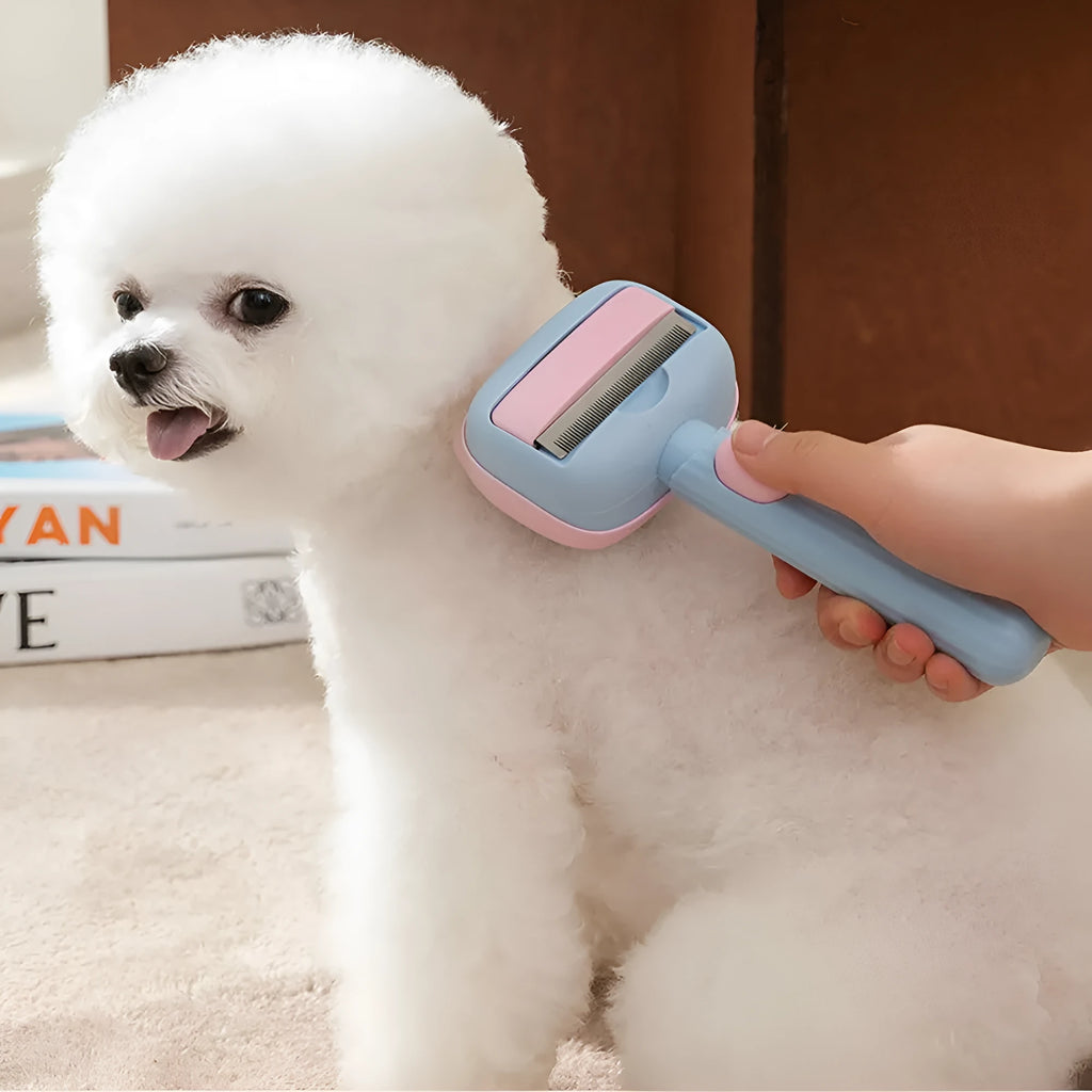 Blue double-sided pet grooming brush with deshedding rake and dematting comb on a 195mm handle.