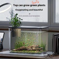 Compact black ecological betta tank with integrated filter and hinged LED light cover on a wooden sideboard.