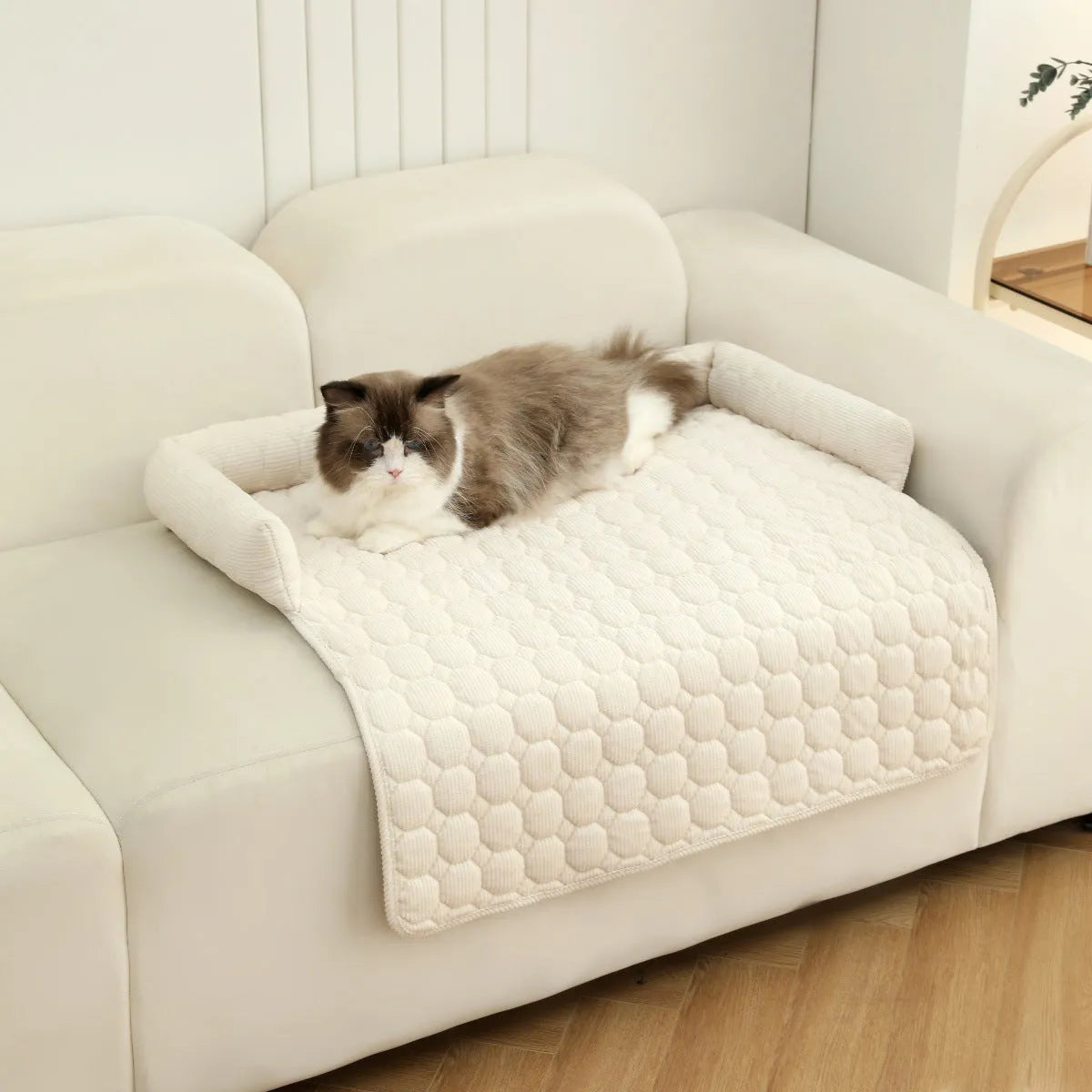 Corduroy pet dog cat bed blanket mat with neck pillow thick soft pad in beige color on a sofa