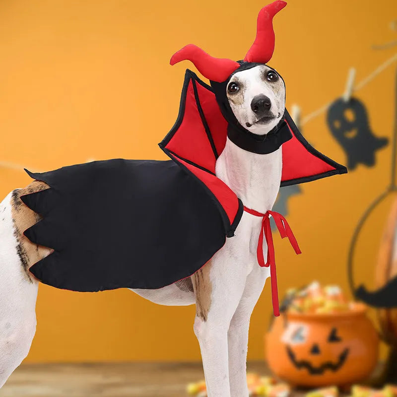 Black polyester vampire cloak and hat pet costume set for cats and small dogs