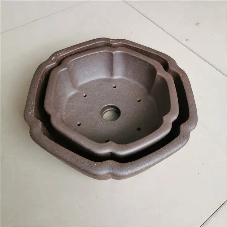 Large hexagonal purple sand flowerpot in brown colour for flowers and green plants