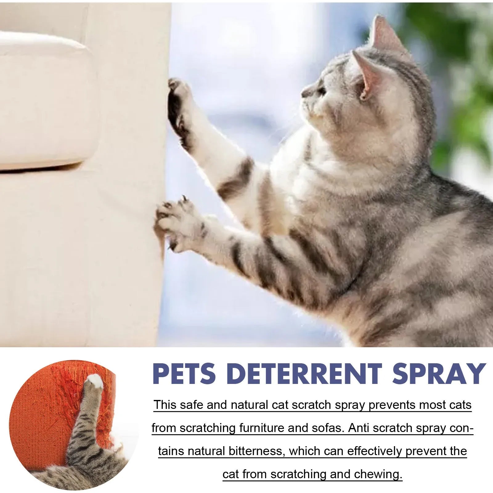 50ml bottle of odourless pet training spray to stop dogs and cats scratching doors and sofas