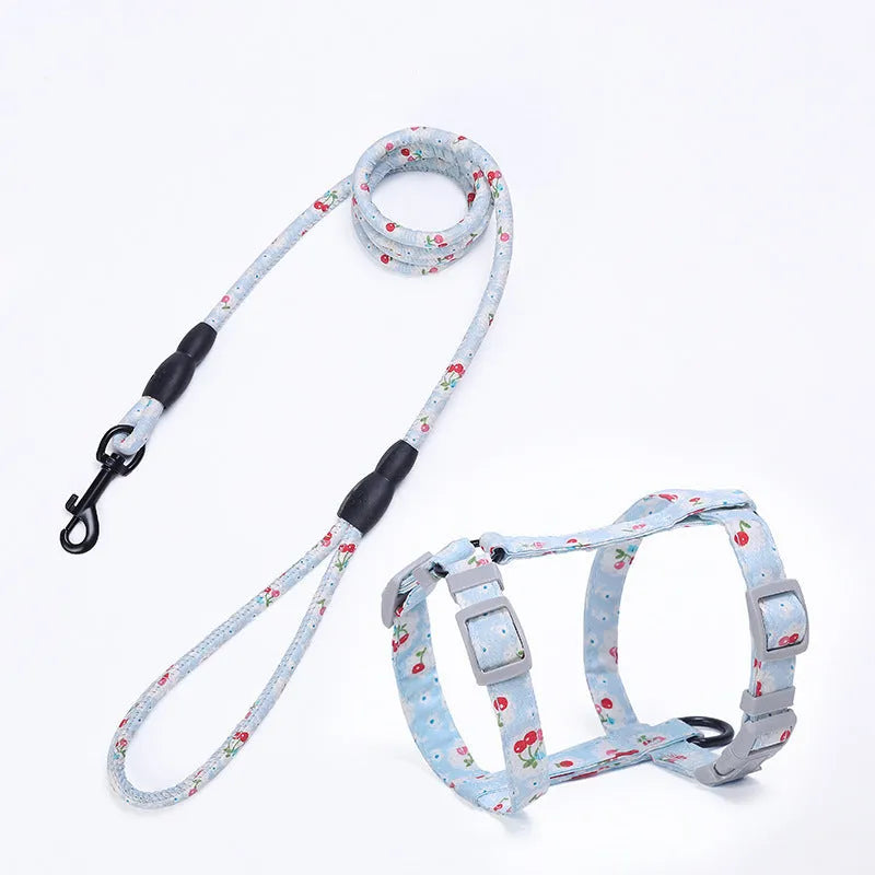 Cat I-shaped chest harness in blue with metal accessories and 150cm rope lead on white background