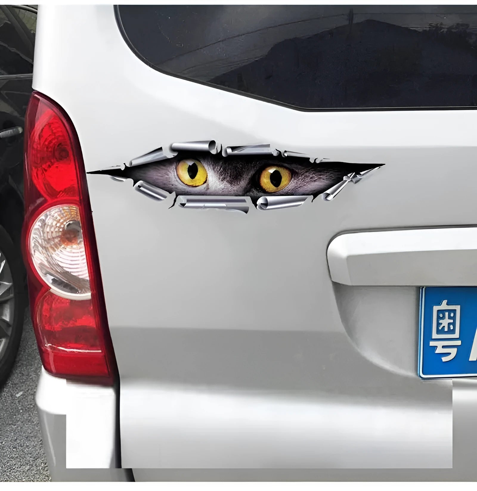 Tiger Eye and Eagle Eye design 3D car door sticker on PVC material, 10 by 35 cm.