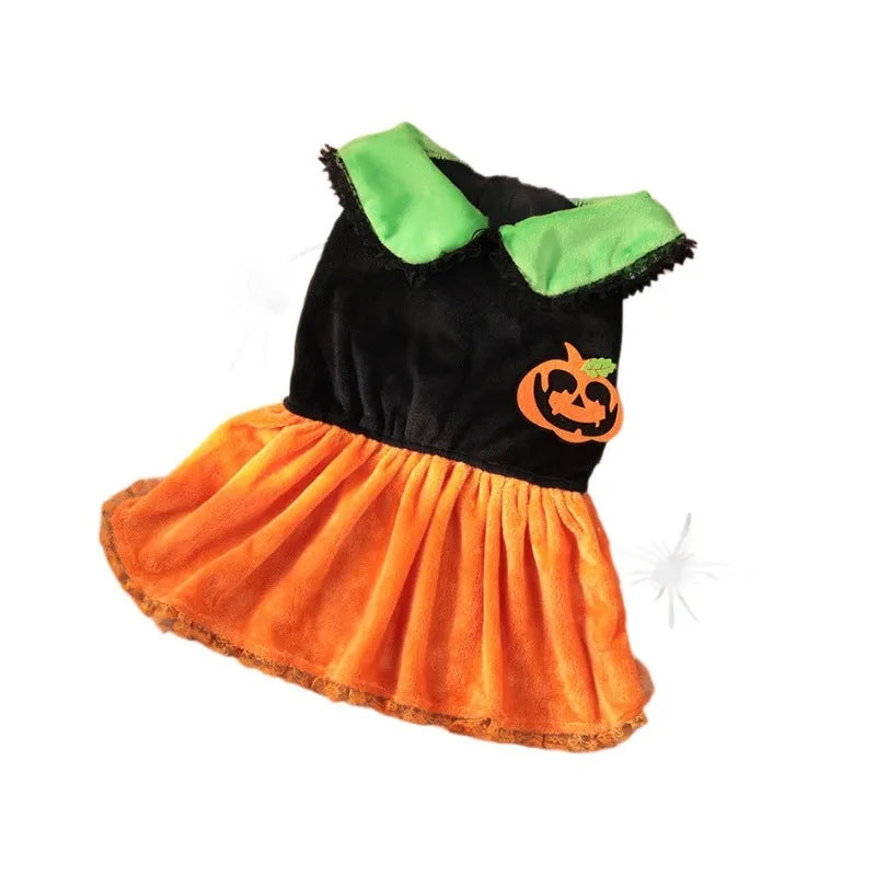Orange crystal velvet Halloween pumpkin skirt costume on a small white dog.