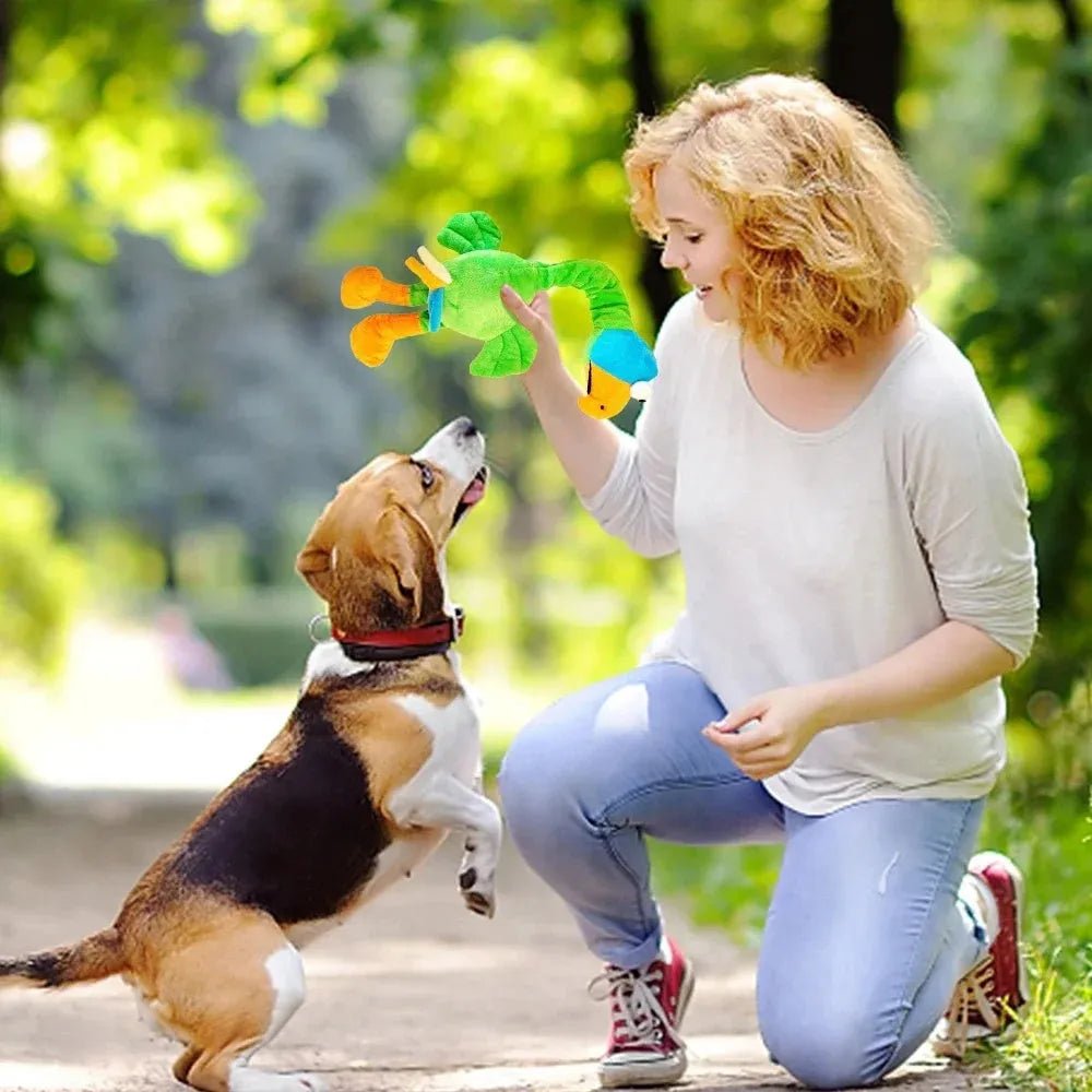 Screaming chicken sound dog chew toy in durable rubber, shown in black, green, and orange colours.