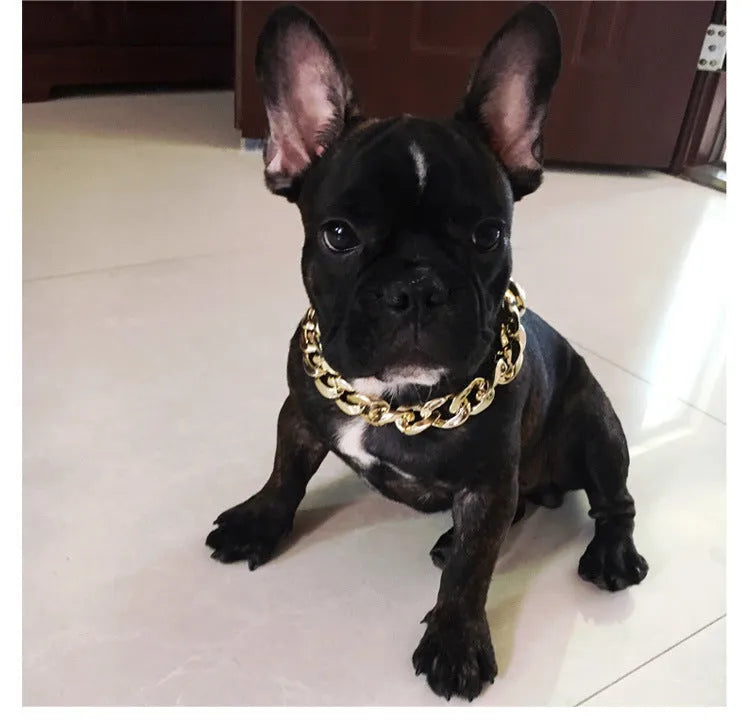 A gold chain-link style dog collar ornament on a white background.