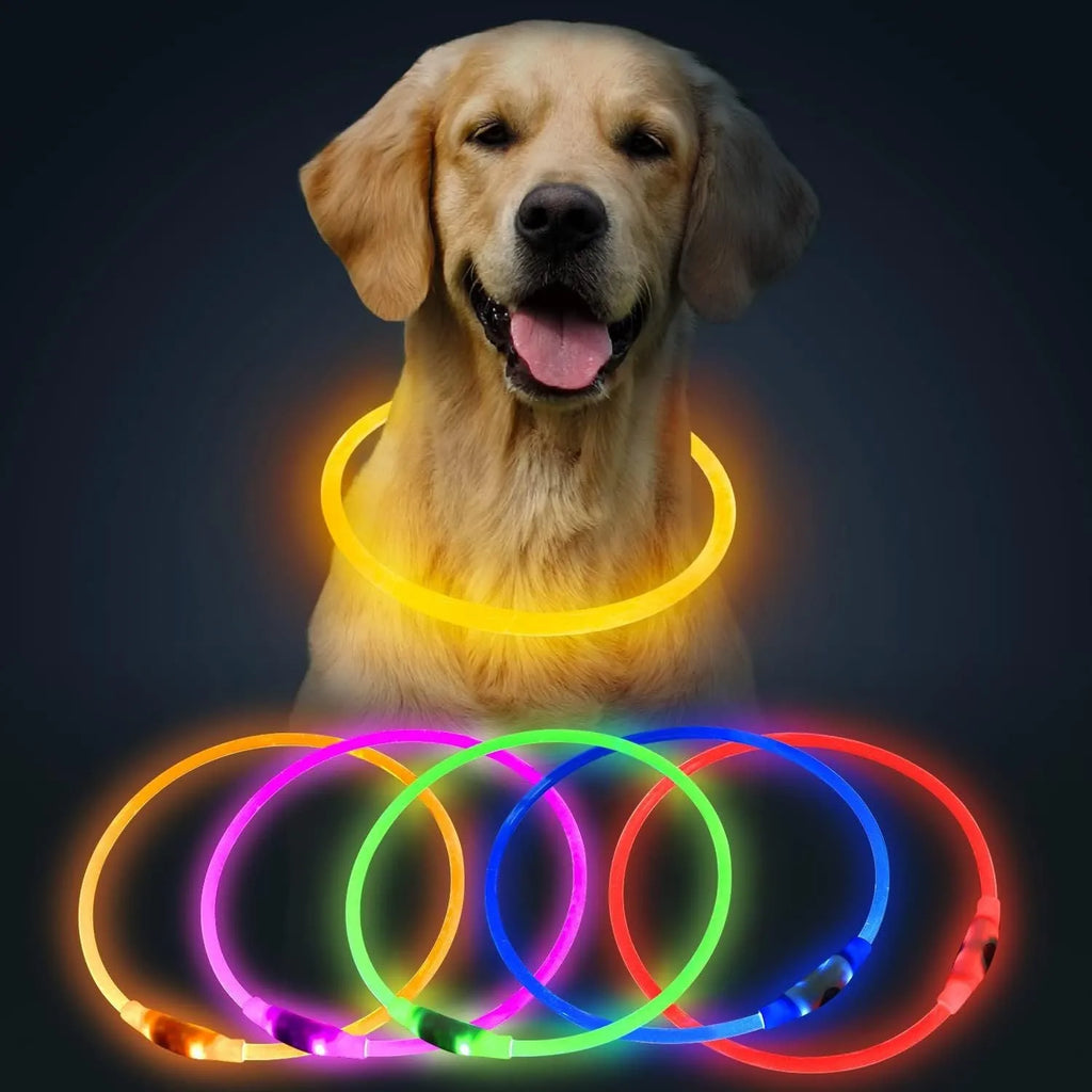 Blue USB-rechargeable LED dog collar glowing on a dog's neck at night.