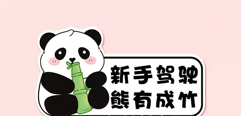 Panda design car sticker for female beginner drivers measuring 23cm by 12cm