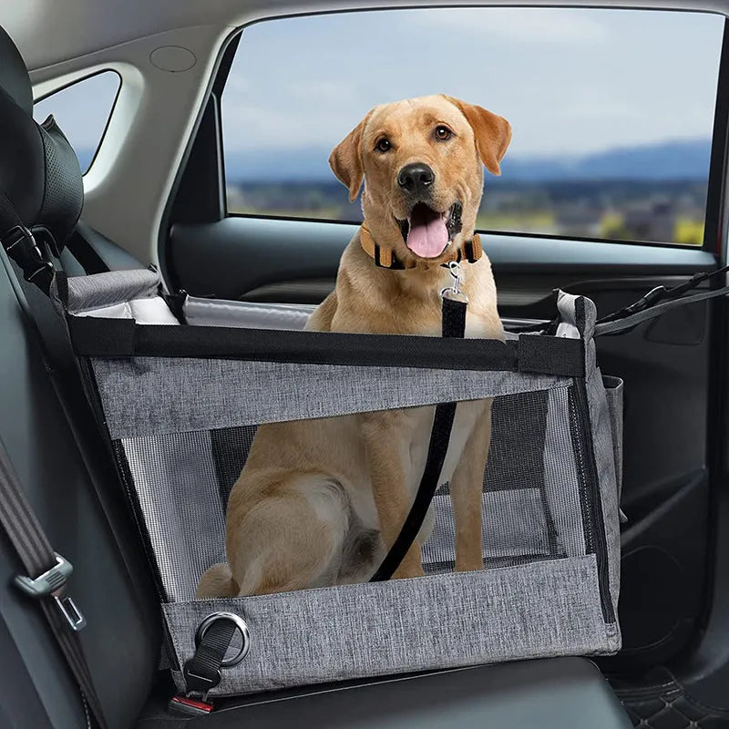 Oxford cloth foldable dog crate with dimensions 49cm x 49cm x 38cm in black colour