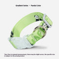 Adjustable nylon dog collar with blue gradient and cartoon panda print, showing plastic quick-release buckle and metal D-ring.