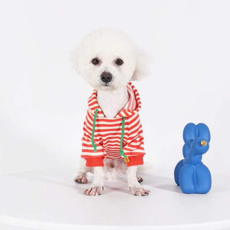 Orange cotton hooded dog sweater on a mannequin, showing Japanese style design.