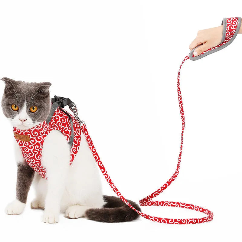 Cat vest harness traction rope in polyester canvas with 38mm Velcro and chrome-plated D-ring, Blue Green Red, S XS