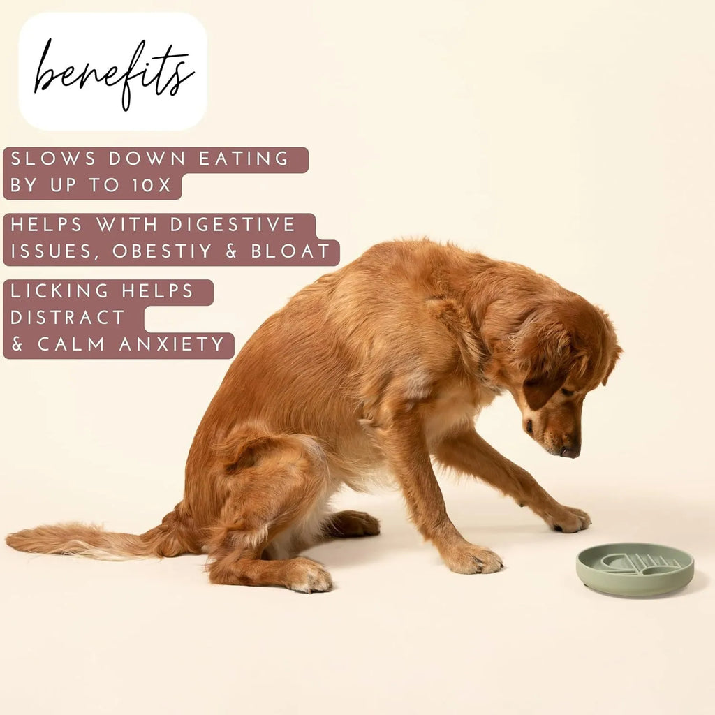 Silicone slow feeder dog bowl with ridges in various colours on a table.