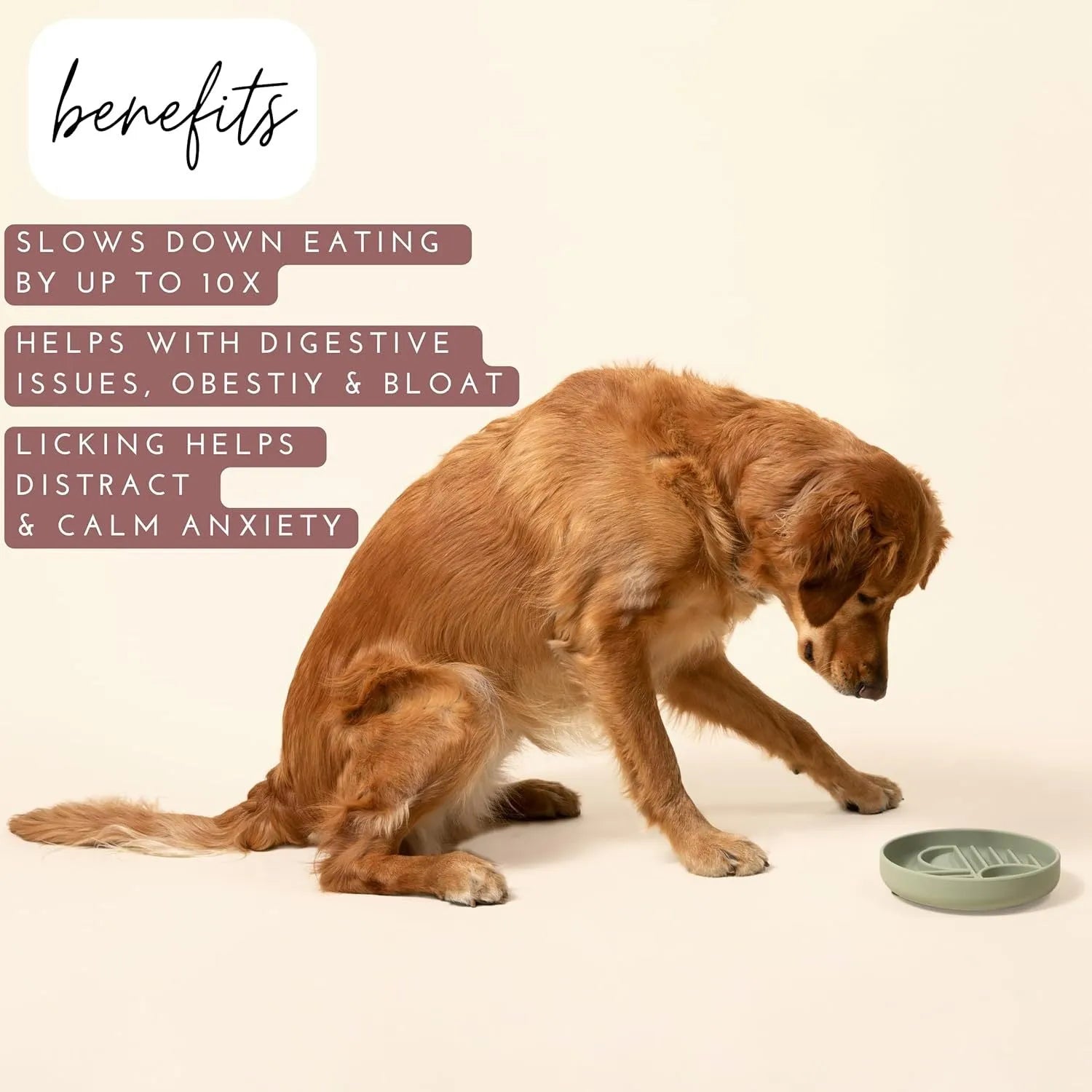 Silicone slow feeder dog bowl with ridges in various colours on a table.