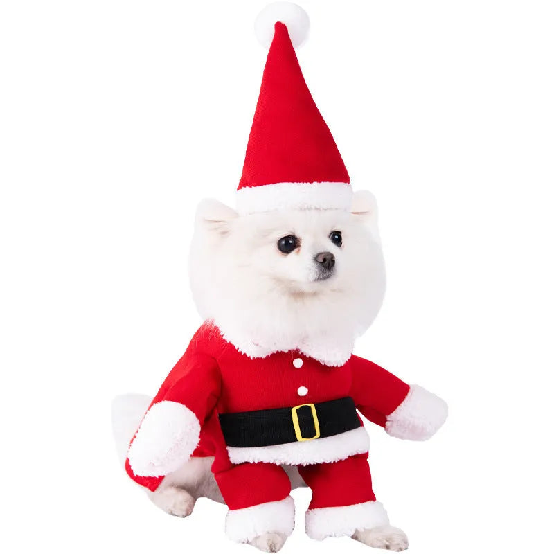 Halloween dog costume outfits including bat suit, devil costume, pumpkin pack and snowman outfit