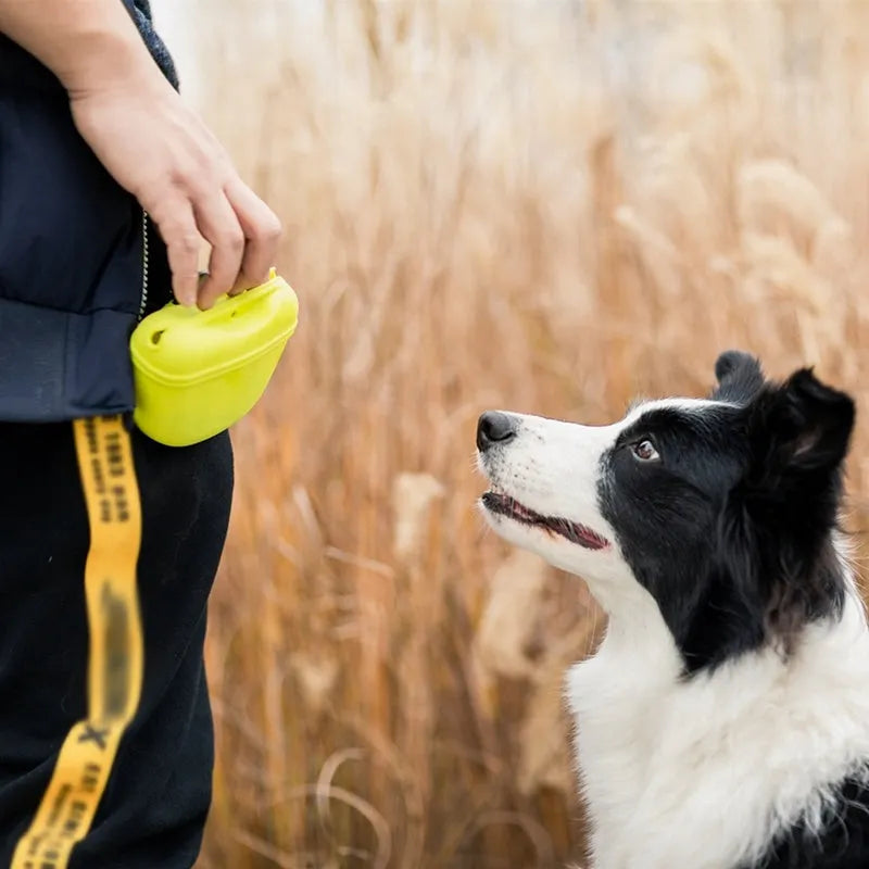 Silicone dog training treat pouch with magnetic closure and metal clip in assorted colours.