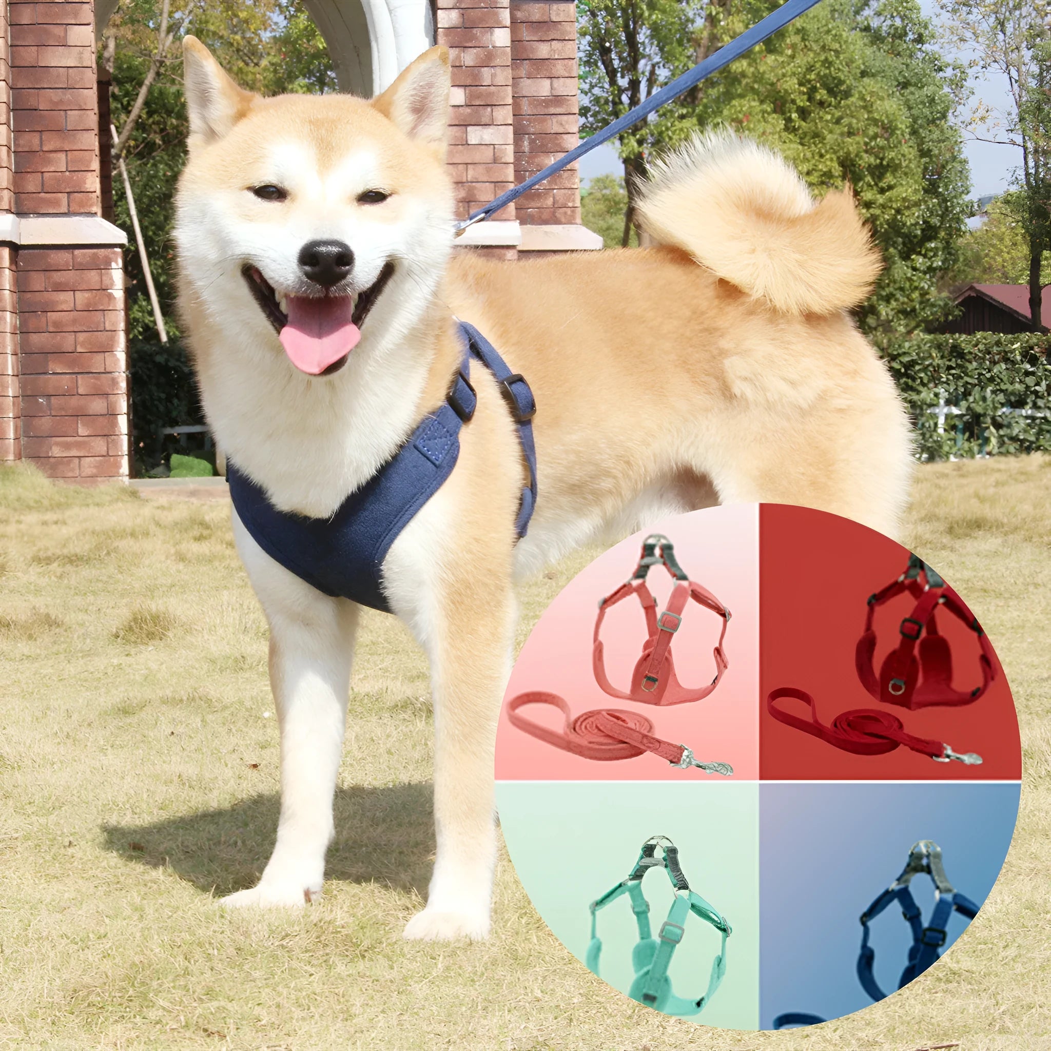 Multiple sizes of suede cloth dog chest harness in red, yellow, green, and blue with matching lead ropes