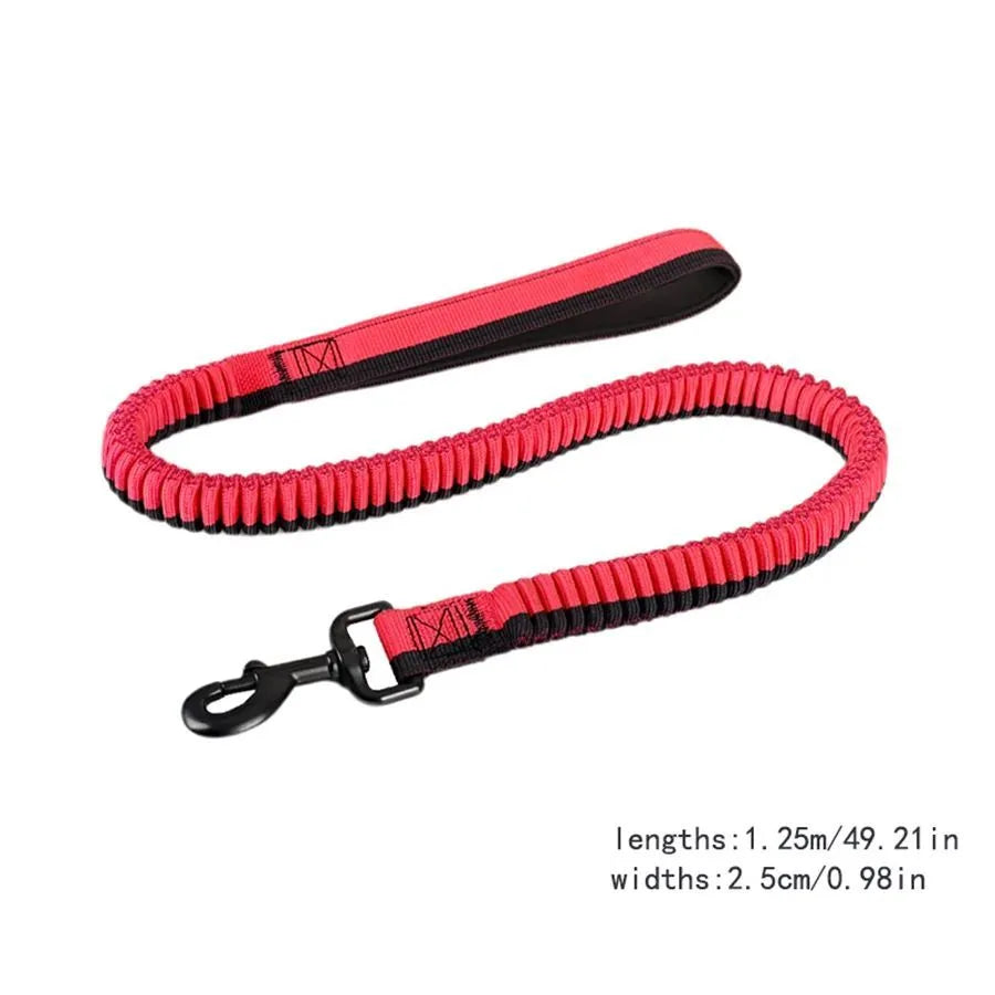 Green elastic shock-resistant dog training leash with 360-degree rotating metal clip