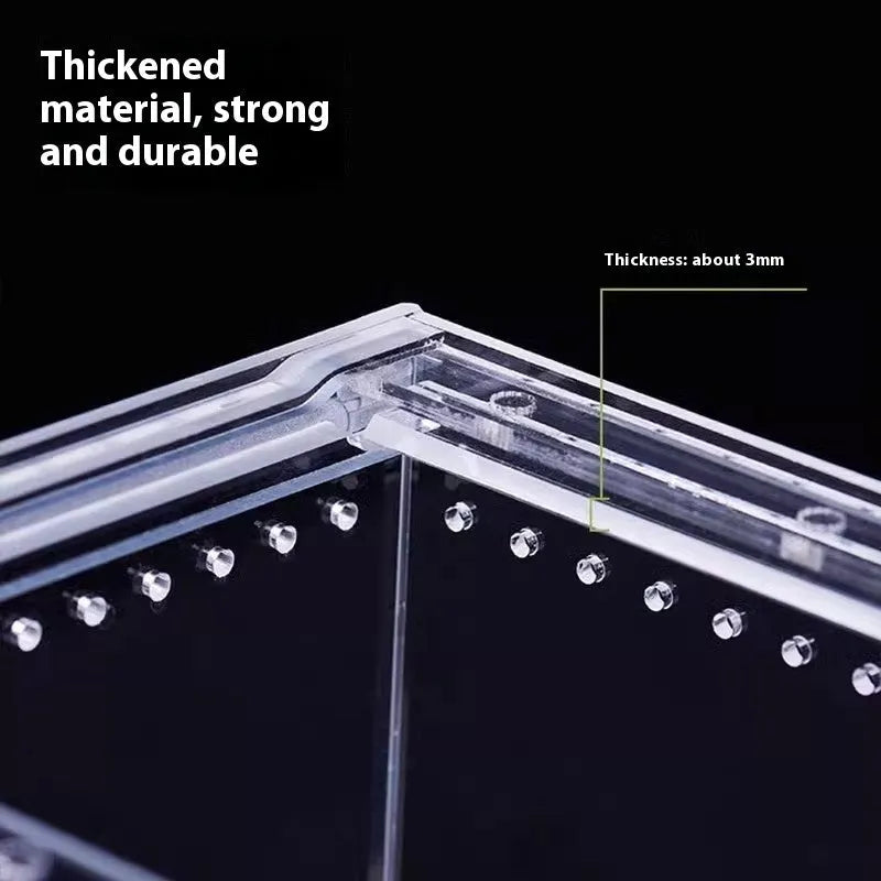 Clear acrylic reptile feeding box showing transparent sides and ventilation, next to a size chart.